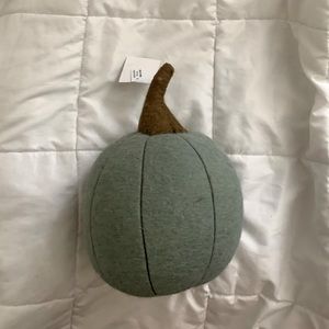 NWT Pumkin cotton decor